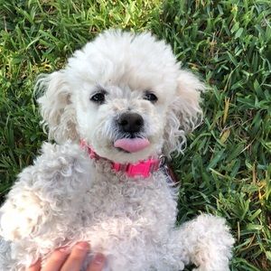 Meet your Posher, Mariana